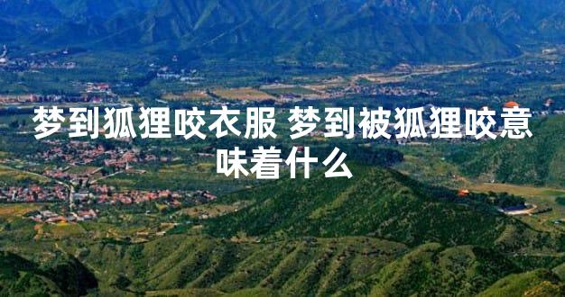 梦到狐狸咬衣服 梦到被狐狸咬意味着什么